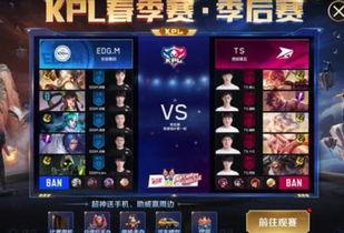 王者荣耀比赛最新爆料网,最新爆料揭秘精彩对决